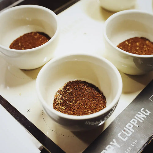 Public Tasting - Understanding Coffee Processing