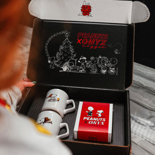 Snoopy & Woodstock Gift Set