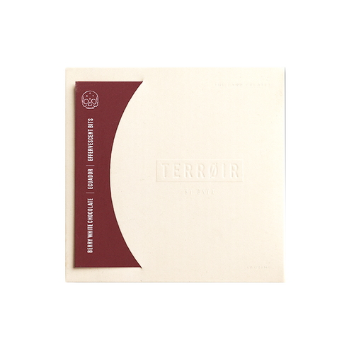 Ecuador | Berry Fizz